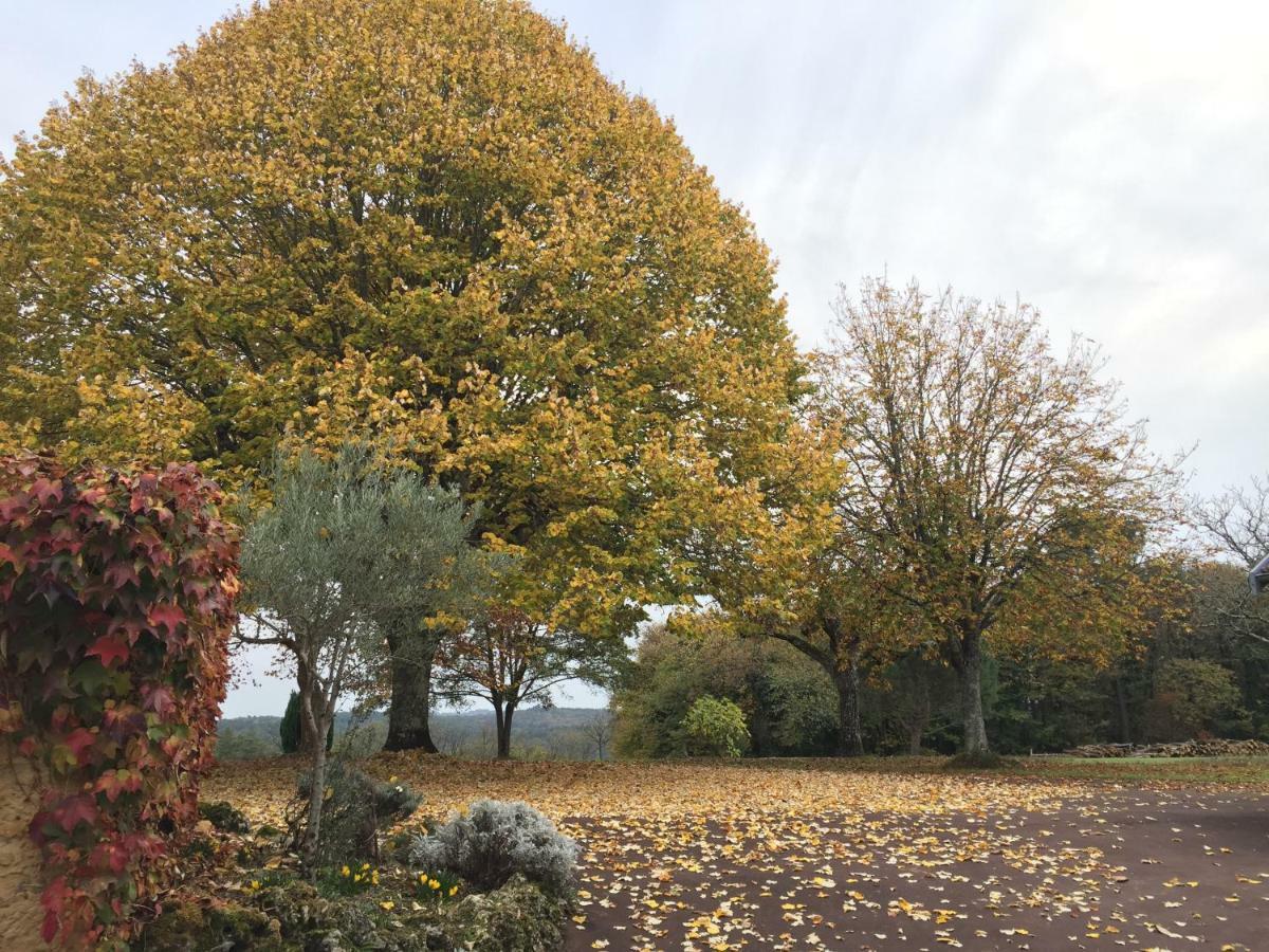 蒙蒂尼亚克Domaine De Lascaux住宿加早餐旅馆 外观 照片