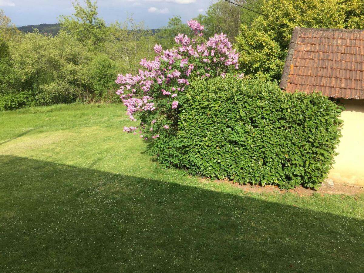 蒙蒂尼亚克Domaine De Lascaux住宿加早餐旅馆 外观 照片